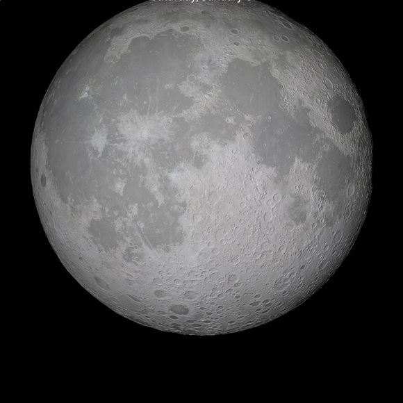 Meet your Posher, Ronna - Picture 1 of 1